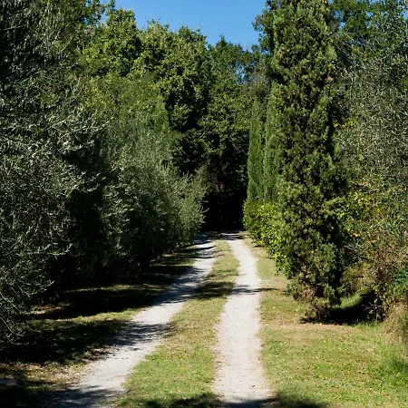 Casa vacanze Locazione Turistica Poggio Oliveto *