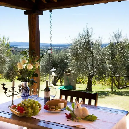 Locazione Turistica Poggio Oliveto